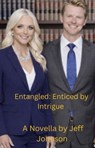 Entangled: Enticed by Intrigue - Jeff Johnson - 9798233366345