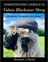 Valais Blacknose Sheep: An Introduction To The Worlds Cutest Sheep - Norman J Stone - 9798233643750