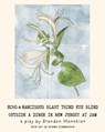 Echo and Narcissus Blast Third Eye Blind Outside A Diner in New Jersey at 2AM [Expanded Edition] - Brandon Monokian - 9798240616624