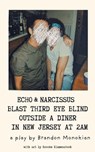 Echo and Narcissus Blast Third Eye Blind Outside A Diner in New Jersey at 2AM - Brandon Monokian - 9798240664236
