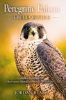 Peregrine Falcon Field Guide: A Complete Handbook for Observation, Identification, and Conservation - Jordan Blake - 9798253900703