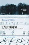 The Flaneur: A Stroll Through the Paradoxes of Paris - Edmund White - 9798260200162