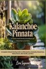 Kalanchoe Pinnata: 10 Powerful Health Benefits of the Miracle Leaf, A must have in your Home: A Complete Natural Healing Guide to Inflammation, Immuni - Liora Sagewood - 9798283758428