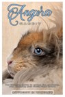 Angora Rabbit: The ultimate guide to caring for, grooming, and enjoying your fluffy fiber friend - Anthony E. Windley - 9798301705403