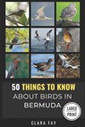 50 Things to Know About Birds in Bermuda Large Print: Birding in a Sub-tropical Paradise - 50 Things to Know - 9798303905115