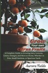 Grow Your Own Citrus Fruits: A Complete Guide to Growing Juicy Lemons, Limes, Oranges, and More at Home-Whether in Pots, Small Gardens, or Spacious Ya - Aurora Fields - 9798306402901