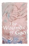 The Wounds of God: The Hawk and the Dove, series 1 - Penelope Wilcock - 9798324469184