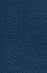 Smart Budgeting for Single Parents - Avery Nightingale - 9798330670994