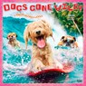Avanti Dogs Gone Wild 2026 Square Flap Calendar -  - 9798330701445
