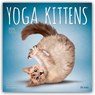 Yoga Kittens 2026 Square Plato Calendar -  - 9798330701964