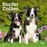 Border Collies 2026 7 X 14 Inch (Hanging) Monthly Mini Wall Calendar -  - 9798330702558