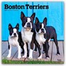 Boston Terriers 2026 Square Flap Calendar -  - 9798330702602