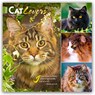 Cat Lovers - Katzenliebhaber 2026 - 16-Monatskalender -  - 9798330702787
