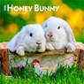 Honey Bunny 2026 7 X 14 Inch (Hanging) Monthly Mini Wall Calendar -  - 9798330703647