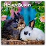 Honey Bunny - Süße Häschen 2026 - 16-Monatskalender -  - 9798330703654
