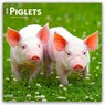 Piglets - Ferkel 2026 - 16-Monatskalender -  - 9798330705139