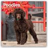 Poodles 2026 Square Flap Calendar -  - 9798330705160
