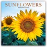 Sunflowers 2026 Square Plato Foil Calendar -  - 9798330706655