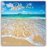 Beaches 2027 12 X 24 Inch (Hanging) Monthly Square Wall Calendar Foil Stamped Cover Plastic-Free -  - 9798330711628
