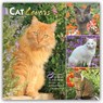 Cat Lovers - Katzenliebhaber 2027 - 16-Monatskalender -  - 9798330711772