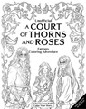 Unofficial: A Court of Thorns and Roses Fantasy Coloring Adventure - Erin Kwong - 9798337400969