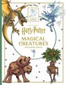Harry Potter: Magical Creatures Coloring Book - Insight Editions - 9798337403786