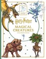 Harry Potter: Magical Creatures Coloring Book - Insight Editions - 9798337403786