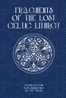 Fragments of Lost Celtic Liturgies - D. P. Curtin - 9798348381646