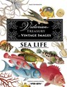 The Victorian Treasury of Vintage Images - Sea Life - Emily Silversmith - 9798348542726
