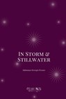 In Storm & Stillwater - Ifunanya Georgia Ezeano - 9798349575815