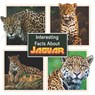 Interesting Facts About Jaguars: Children's Picture Book for Jaguars / Facts About Jaguars for Kids - James K. Mahi - 9798374595871