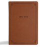 NASB Large Print Thinline Bible, Value Edition, Brown Leathertouch - Holman Bible Publishers - 9798384517993