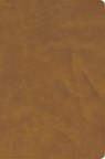 Holy Bible - Holman Bible Publishers - 9798384518419
