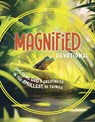 Magnified Devotional: Exploring God's Greatness in the Smallest of Things - Rhonda VanCleave - 9798384521938