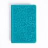 KJV Personal Size Bible, Teal Leathertouch - Holman Bible Publishers - 9798384525301