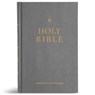 CSB Church Bible, Charcoal Hardcover - Csb Bibles by Holman - 9798384540298