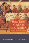 How Does God Act in the World? - David Wilkinson - 9798385208814