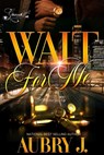 Wait for Me: A Trenches Spin-Off - Aubry J - 9798396764293