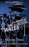 Any Which Way but South Wales - HUGHES,  David Owain - 9798408047789
