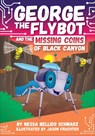 George the Flybot and the Missing Coins of Black Canyon - Nessa Bellido Schwarz - 9798765411834