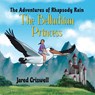 The Adventures of Rhapsody Rain - Jared Criswell - 9798823045773