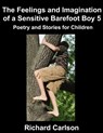 The Feelings and Imagination of a Sensitive Barefoot Boy 5 - CARLSON,  Richard - 9798840648568