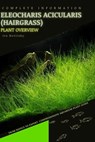 Eleocharis Acicularis (Hairgrass): From Novice to Expert. Comprehensive Aquarium Plants Guide - Iva Novitsky - 9798854362443