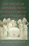 The Virtue of S¿phrosun¿ in Plato's Gorgias and Phaedrus - Kristian Sheeley - 9798855805529