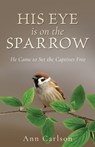 His Eye Is on the Sparrow: He Came to Set the Captives Free - Ann Carlson - 9798868506444