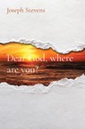 Dear God, where are you? - Joseph P Stevens - 9798868923333