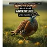 Quincy's Quirky Quail-land Adventure - Wise Whimsy - 9798868944932