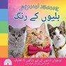 جونیئر اندردخش, بلیوں کے  - Rainbow Roy - 9798869126924