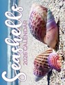 Seashells 2026 Calendar - B. Patrick - 9798869245717