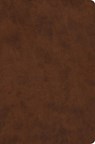 ESV Value Compact Bible (Trutone, Brown) -  - 9798874902780